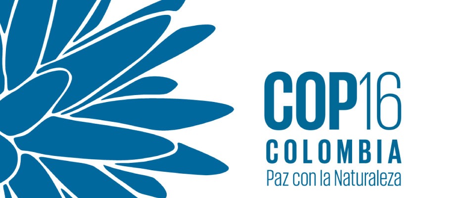 Sigue las actividades y eventos de la COP 16 Colombia: Paz con la Naturaleza