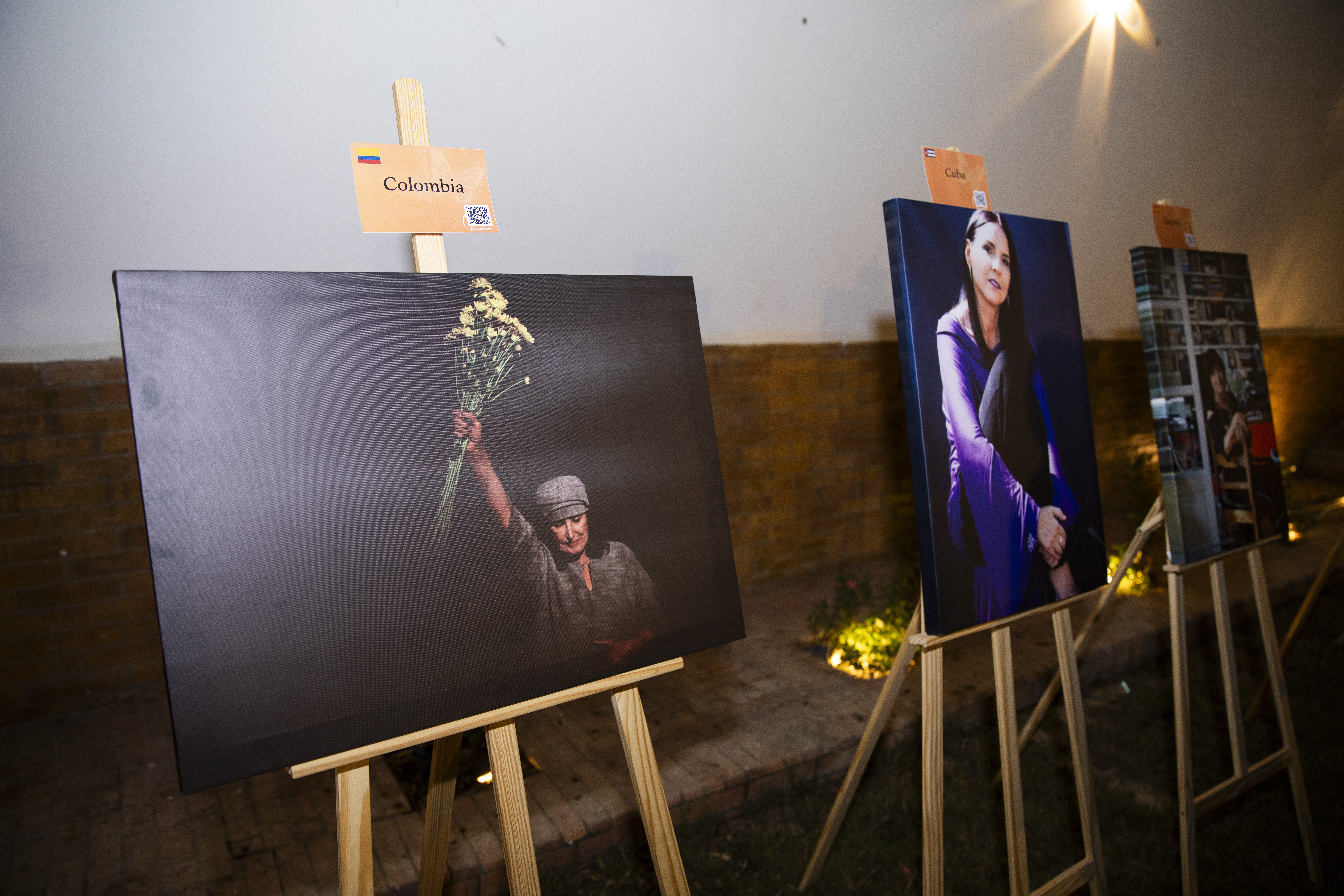 Conmemoración del Día Internacional de la Eliminación de la Violencia Contra la Mujer – El Cairo 
