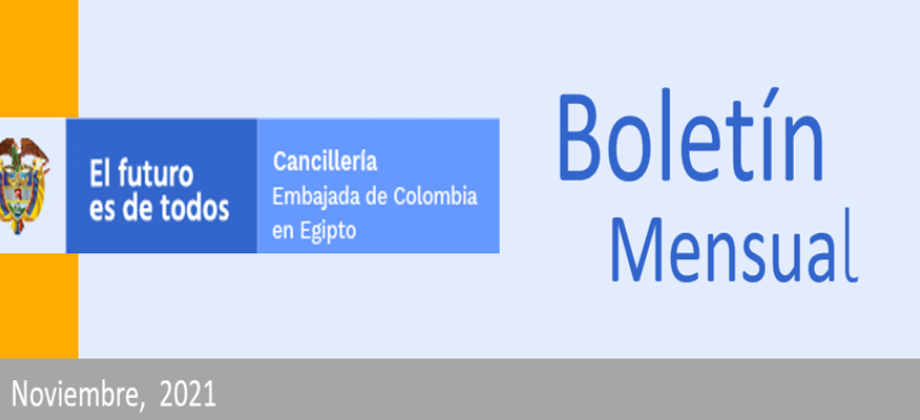 Boletin mensual noviembre